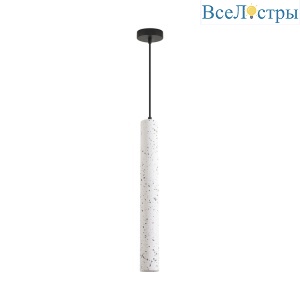 Подвесной светильник Lumion Suspentioni Shamarel 8356/1B