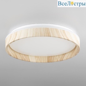 Потолочный светильник Citilux Enzo CL753352G