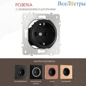 Розетка с заземлением и шторками Arte Milano 202.40-1.black