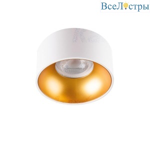 Точечный светильник Kanlux MINI RITI GU10 W/G 27576