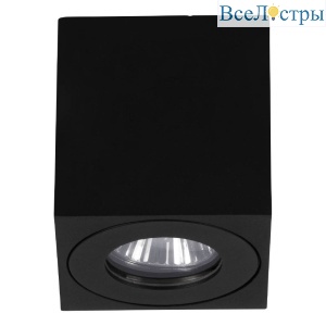 Уличный потолочный светильник Eglo Torrecola 901029