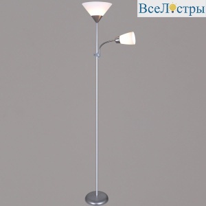 Торшер Reluce 06003-0.6-02HV SL