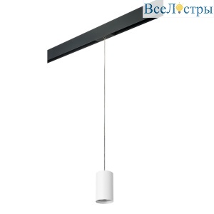 Трековый светильник Lightstar Rullo (214436+595857) PRORP436