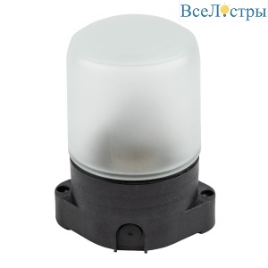 Потолочный светильник Uniel UWL-K01R 60W/E27 IP65 BLACK UL-00011472