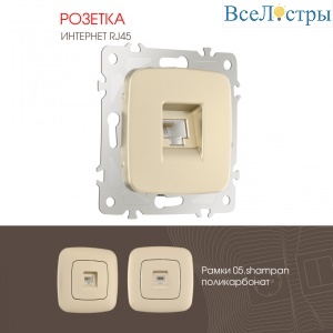 Розетка RJ45 Arte Milano 205.45-1.shampan