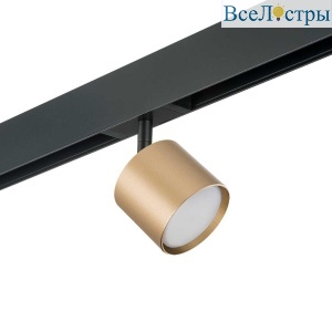 Трековый светильник Lightstar Rullo (213490+595087) PRO3490