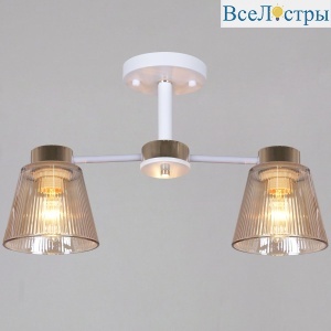 Потолочный светильник Reluce 20560-0.3-02 WH+FG