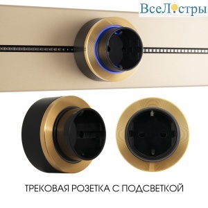 Трековая розетка Arte Milano Am-track-sockets-39 397952TS/ES Gold