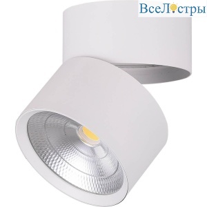 Накладной светильник Feron AL520 32461