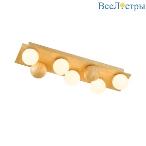 Потолочный светильник F-Promo Swarm 4695-5C