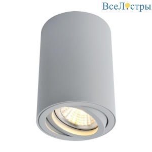 Потолочный светильник Arte Lamp A1560PL-1GY