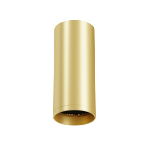 Потолочный светильник Maytoni Technical Focus C010CL-01MG-N
