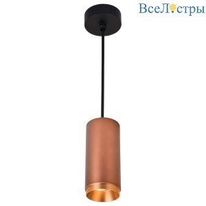 Точечный подвесной светильник Wertmark Stecken WE802.01.607+WE803.RG.400