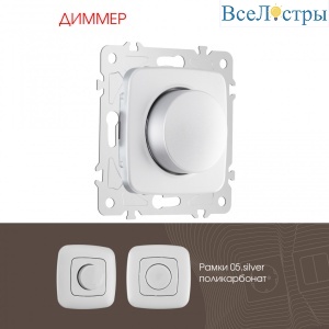 Диммер Arte Milano 205.48-1.silver