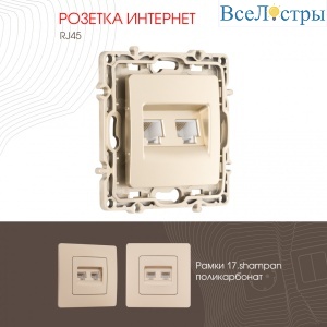 Розетка RJ45 Arte Milano 217.45-2.shampan