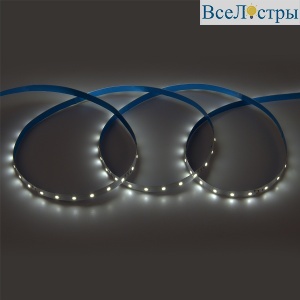 Светодиодная лента General GLS-2835-60-4.8-24-IP20-6 500412
