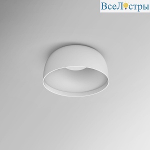 Потолочный светильник Imperium Loft Djembe 184481-26