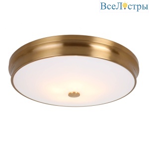 Потолочный светильник Favourite Pannikin 2375-5C