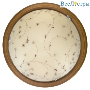 Настенно-потолочный светодиодный светильник Toplight Karissa TL9650Y-00OA