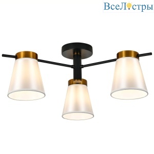 Потолочный светильник Escada Ambient ES0000056