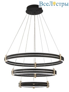 Подвесная люстра Zortes Duble-R ZRS.30515.228