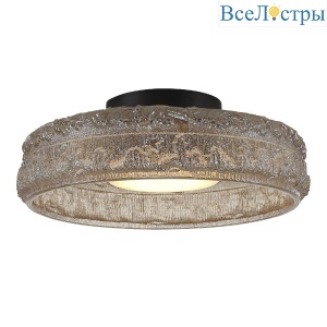 Потолочный светильник ST Luce Antike SL6143.422.01