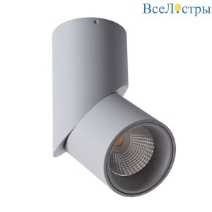 Накладной светильник ARTE Lamp A7717PL-1GY