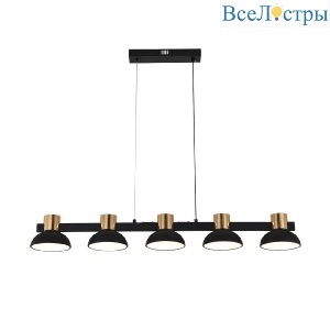 Подвесной светильник Indigo Traforo 11059/5PL Black V000184L