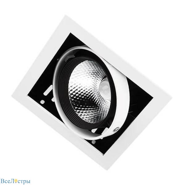 Cardano Ambrella light
