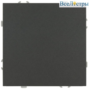 Кнопка Эра Galaxy 15-1109-06 10АХ-250В IP20 графит Б0070763