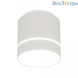 Потолочный светодиодный светильник Citilux Борн CL745020N