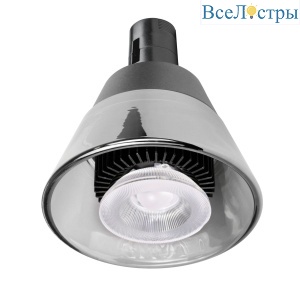Трековый однофазный светильник Lightstar Due Hermes 210947