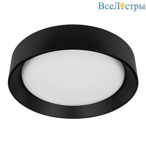 Потолочный светильник Loft IT Coin 10202 BB