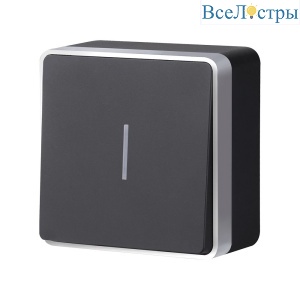 Выключатель одноклавишный с подсветкой Werkel Gallant (черный с серебром) W5010134 4690389163838 a051150
