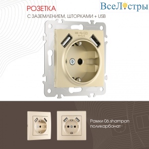 Розетка с заземлением, шторками + 2 USB Arte Milano 206.47-1.shampan