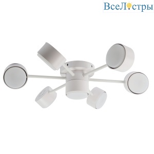 Потолочный светильник Feron AL269  53101