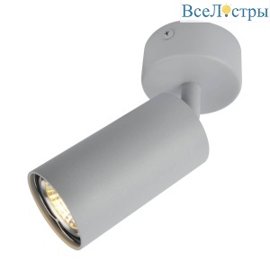 Спот Arte Lamp A3216PL-1GY