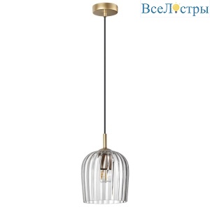 Подвесной светильник Lumion Suspentioni Ellie 6551/1A