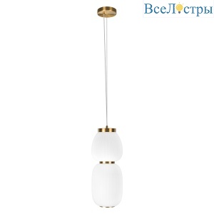 Подвесной светильник Loft IT Duff 10422/A