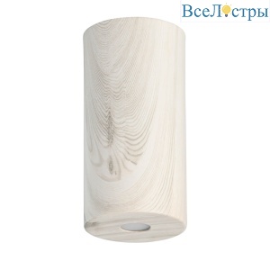 Потолочный светодиодный светильник De Markt Иланг 5 712010901