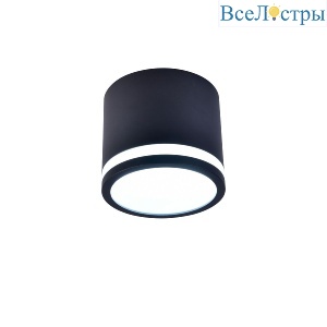 Накладной светильник Favourite Festum 4212-1C