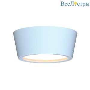 Уличный потолочный светильник Favourite Fantum 4676-1U