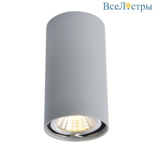 Потолочный светильник Arte Lamp A1516PL-1GY