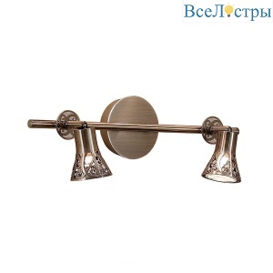 Спот Citilux Винон CL519523