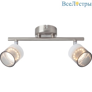 Спот Toplight Rosa TL1230Y-02SN
