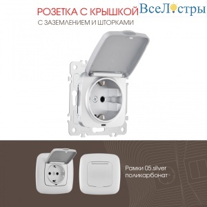 Розетка с заземлением, шторками и защитной крышкой Arte Milano 205.41-1.silver