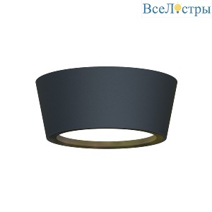 Уличный потолочный светильник Favourite Fantum 4675-1U