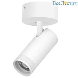 Накладной светильник 20-55G с адаптером Lightstar Canno Pro C4206SO