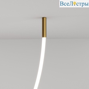 Крепления подвесные для гибкого неона Elektrostandard Full Light FL 28120 латунь a063434