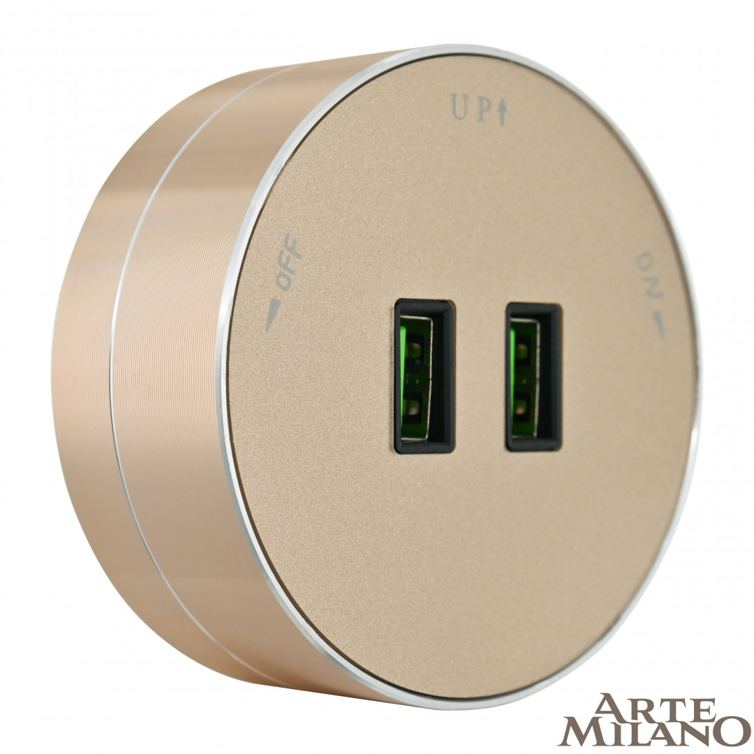трековая розетка arte milano am-track-sockets 380011ts/usbx2 gold